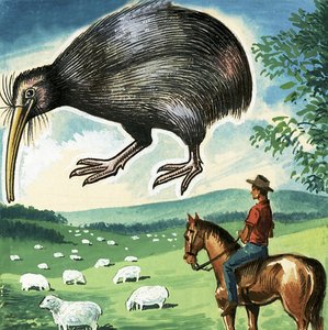 Kiwi, godło Nowej Zelandii autorstwa English School