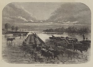 Kraina ropy, transport beczek na Oil Creek (rycina) autorstwa English School
