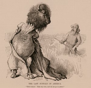 Ostatni bizon w Ameryce (rycina) autorstwa English School