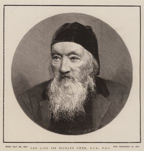 Późny Sir Richard Owen, KCB, FRS (Grawerowanie) autorstwa English School