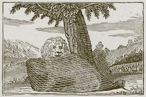 Lew i mysz (rycina) autorstwa English School