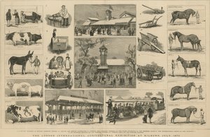 Londyńska Międzynarodowa Wystawa Rolnicza w Kilburn, lipiec 1879 r