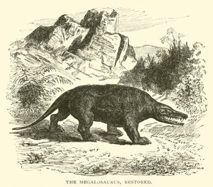 Megalozaur, odrestaurowany (grawerowanie) autorstwa English School