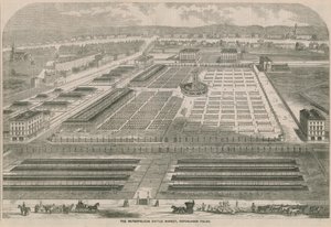 Metropolitan Cattle Market, Copenhagen Fields, Londyn
