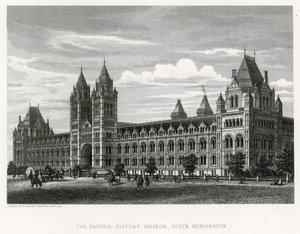 Muzeum Historii Naturalnej, 1881 r. autorstwa English School