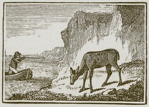 Jednooka łania (grawerunek) autorstwa English School