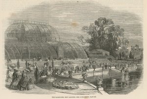 Palmiarnia, Kew Gardens, Londyn autorstwa English School