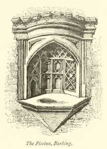 Piscina, szczekanie autorstwa English School