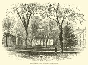 Czworokąt, Uniwersytet Harvarda autorstwa English School