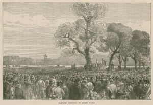 Demonstracja reform w Hyde Parku, 6 maja 1867 r. autorstwa English School