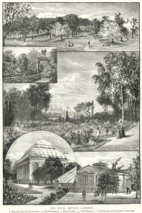 Królewskie Ogrody Botaniczne (rycina) autorstwa English School
