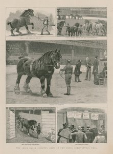 Pokaz Shire Horse Society w Królewskiej Hali Rolniczej autorstwa English School