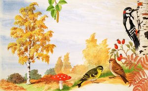 Brzoza srebrna oraz zwierzęta i rośliny, które można znaleźć wokół niego