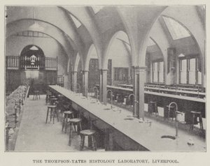 The Thompson-Yates Histology Laboratory, Liverpool (grawerowanie) autorstwa English School