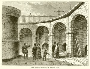 Menażeria Wieży około 1820 autorstwa English School
