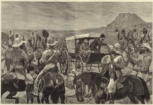 Wojna Transwalu