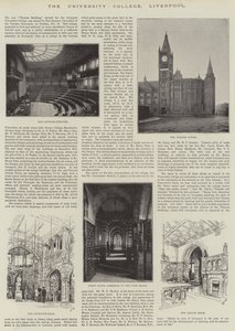 University College, Liverpool (grafika) autorstwa English School