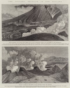 Erupcja wulkanu w Nowej Zelandii (rycina) autorstwa English School