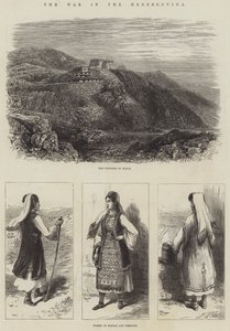 Wojna w Hercegowinie (rycina) autorstwa English School