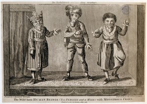 Dziko urodzone istoty ludzkie (dwie kobiety i mężczyzna) z potwornymi raczkami, jak wystawione na Haymarket, wydrukowane dla Carington Bowles, 1787 autorstwa English School