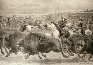 „Dziki Zachód” na Wielkiej Wystawie Amerykańskiej: Polowanie na bizony i jelenie Wapiti, z „The Illustrated London News”, 18 czerwca 1887 autorstwa English School