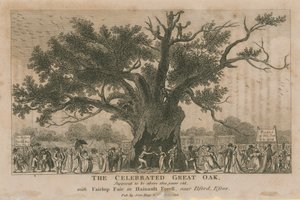 Słynny Wielki Dąb, który miał mieć ponad 1800 lat autorstwa English School