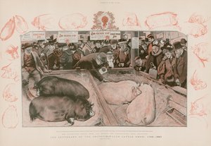 Stulecie Smithfield Club Cattle Show