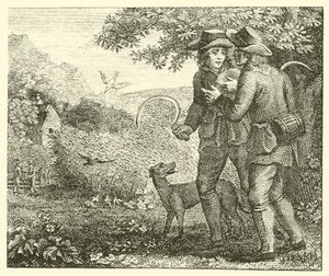 Skowronek i jego młode (grawerunek) autorstwa English School