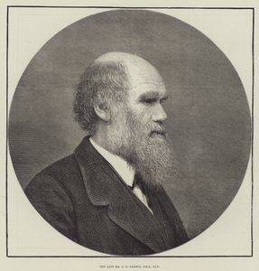 Nieżyjący pan C R Darwin, FRS, LLD autorstwa English School