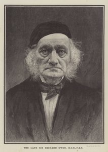 Nieżyjący już Sir Richard Owen, KCB, FRS (Grawerowanie) autorstwa English School