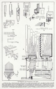 Mechanizm i układ organów (lito) autorstwa English School