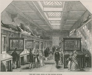 Nowa sala koralowa w British Museum autorstwa English School