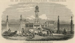 Nowy Metropolitan Cattle Market, Copenhagen Fields