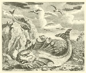Tuńczyk i delfin (rycina) autorstwa English School