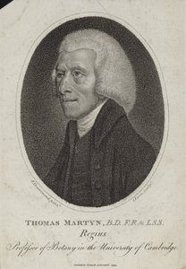 Tomasz Martyn autorstwa English School