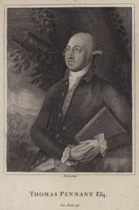 Thomas Pennant, walijski przyrodnik i topograf (grafika) autorstwa English School