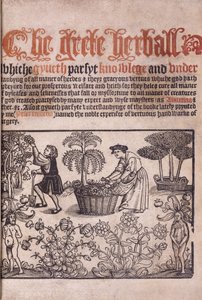 Strona tytułowa ilustrująca scenę ogrodową z figurami, 1529 autorstwa English School