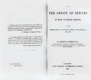 Strona tytułowa książki O powstawaniu gatunków Karola Darwina, opublikowanej w 1859 r. autorstwa English School