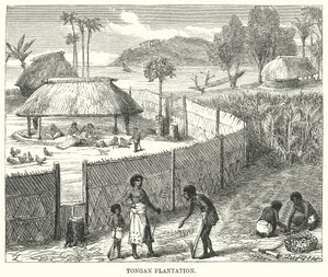 Tongan Plantation (grawerunek) autorstwa English School