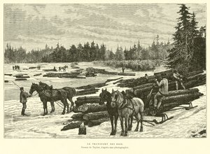 Transport drewna autorstwa English School