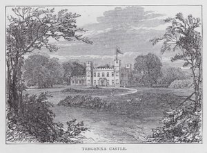 Zamek Tregenna (rycina) autorstwa English School
