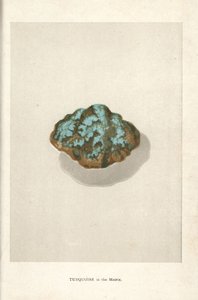 Turkus w matrycy, z „Precious Stones and Gems” Edwina Streetera, Londyn, George Bell & Sons autorstwa English School