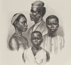 Typy z Wybrzeża Loango, z Historii Ludzkości, tom III, autorstwa prof. Friedricha Ratzela, 1898 autorstwa English School