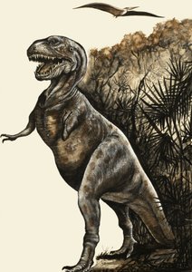 Tyranozaurus Rex autorstwa English School