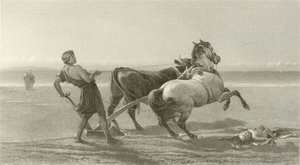 Ulisses orki brzeg morza (wklęsłodruk) autorstwa English School