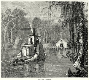 Widok na Florydę (grawerunek) autorstwa English School