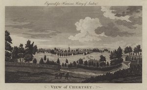 Widok Chertsey, Surrey (grawerowanie) autorstwa English School