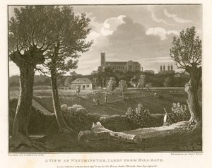 Widok Westminster z Millbank autorstwa English School
