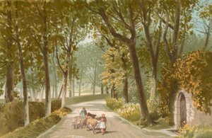 Vinchelez Lane – Jersey autorstwa English School