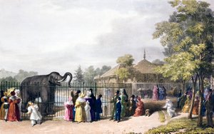 Odwiedzający londyńskie zoo w Regent